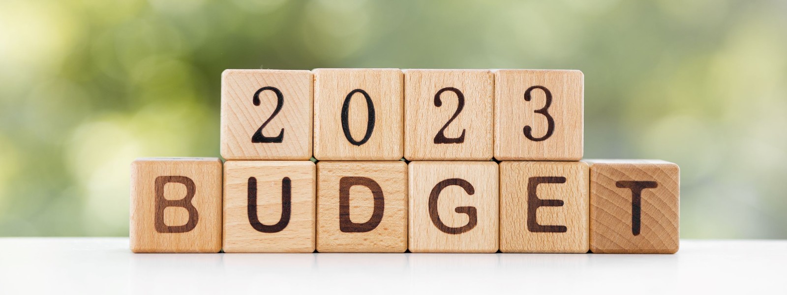 Budget 2023 passed in Parliament by majority vote